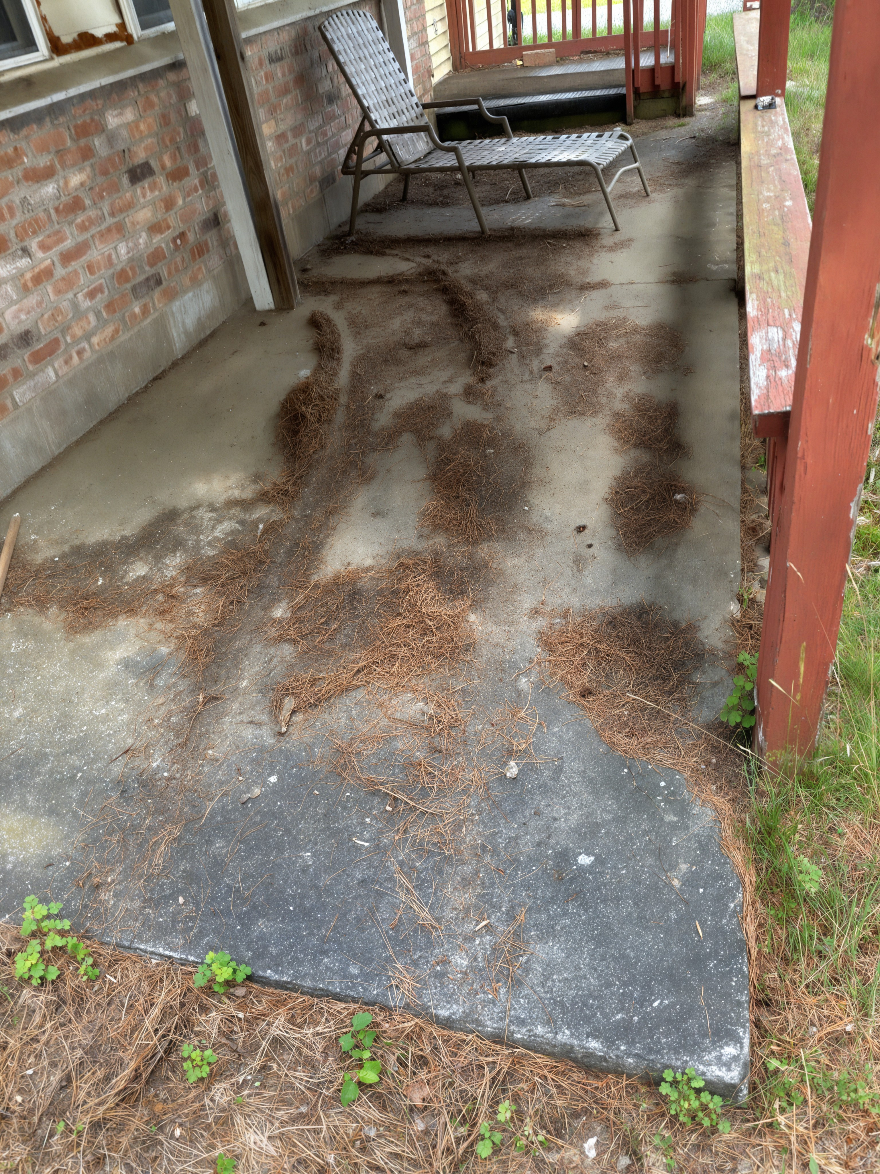 Before: porch covered in pine needles and dirt